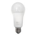 Qtec 19W LED bulb E27 2700K A65